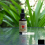 Childlife Echinacea (Natural Orange Flavor)