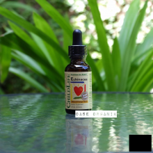 Childlife Echinacea (Natural Orange Flavor)