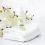 Evete Naturals Face Oil Repairing