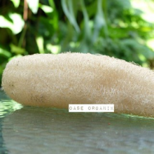 Loofah Sponge / spons ramah lingkungan