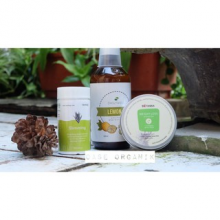 Paket Dailywell Lemon Plus, Botanina Weight Loss Op & Herbilogy Slimming Capsule